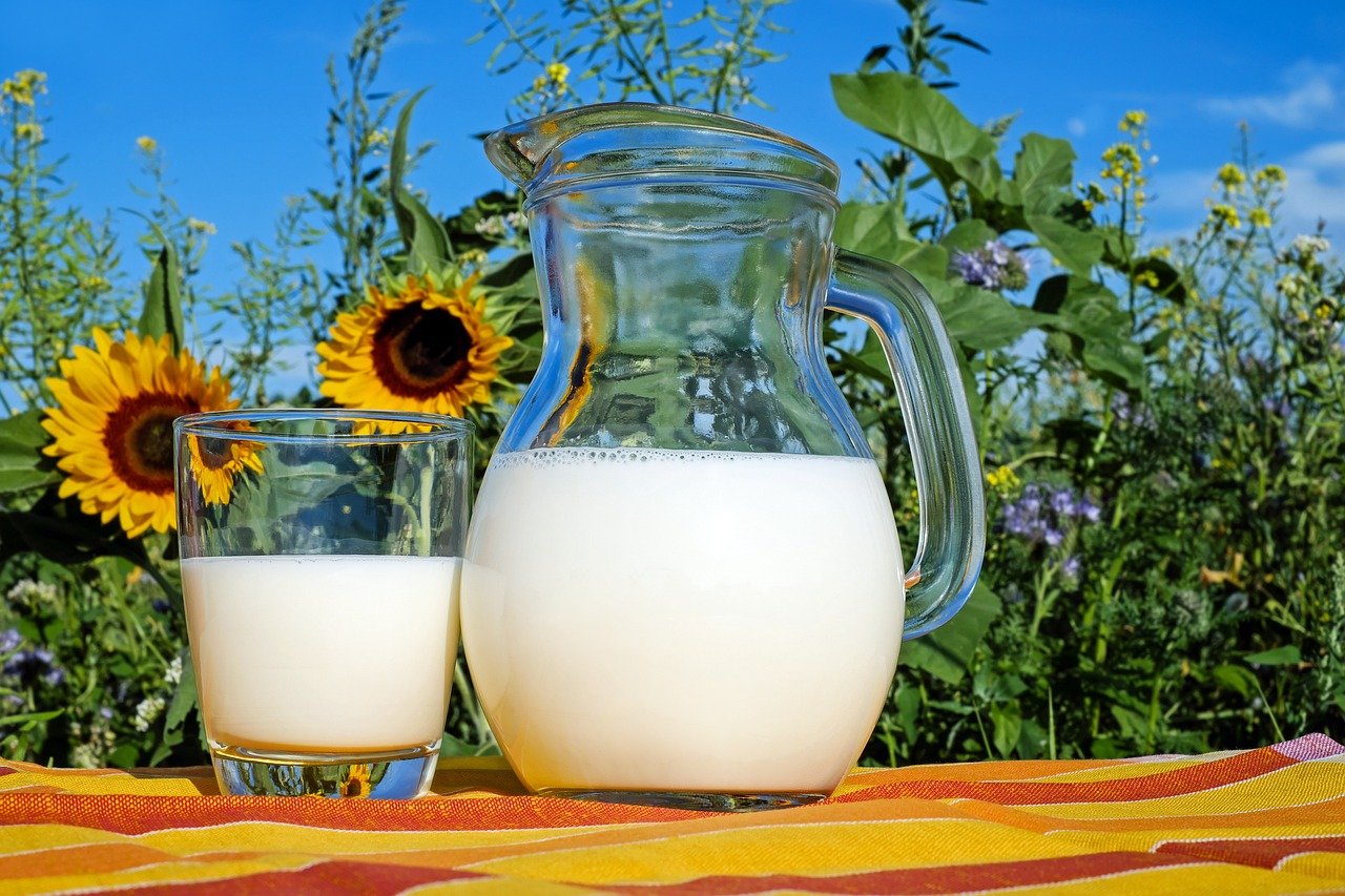 naturaplugg.com